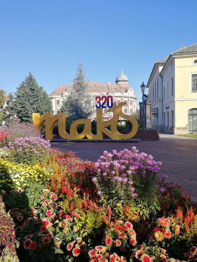Csipke Apartman Makó Kültér fotó